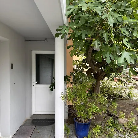 Privative Au Rez De Jardin Dans 3* La Wantzenau