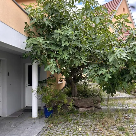 Casa de hóspedes Privative Au Rez De Jardin Dans La Wantzenau